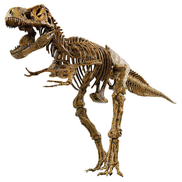 EDU-TOYS VT026 Dinosaur Craft Kit, 51 Pieces, Tyrannosaurus