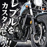 DAYTONA 17733 Motorcycle Screen, Rebel 250/500 (20-21), Aerobisor, Smoke