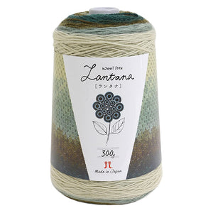 Hamanaka 2421 Lantana Yarn, Medium Point, Color 207, Green Family, 10.6 Oz (300 g), Approx. 1200 Yards (1200 m)