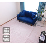 AM2 Carpet, Rug Mat, Antibacterial, Made in Japan, Edoma Size 6 Tatami Mats, 102.8 x 138.8 inches (261 x 352 cm), Folding Carpet, Ivory