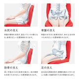 Sou & Sou X P. nto Collaboration Product Correct Posture Habits, for Beanbag Cushion (Pinto) Pint [So, Su, U]