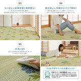 Hagiwara #110 PP Pattern Top Mat, Green, 22.8 to 138.2 sq ft (58 to 8 Tatami Mats), Igusa Style, Pattern Top Mat, Washable, Made in Japan, Approx. 138.8 x 138.7 inches (352 x 352 cm)