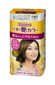 Blaune Raku-nuri Glossy Color 3C 100g