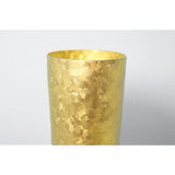 Horie Niigata Prefecture Tsubame made in Titanium Double Tumbler Cotta Every Premium CC Premium Gold t08 km350pg