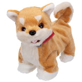 Iwaya Oide! Oide! Oide! Coming It! Room Tomo Dog Shiba Inu