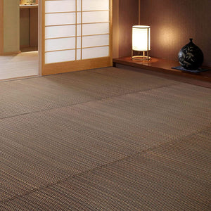 Hagiwara 81847560 Igusa (Rush Grass) Rug, "South Style", Edoma, 6 Tatami Mats