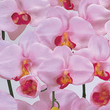 Tokyodo ZV06500W-050 Artificial Flowers, #Lavender, W 19.7 x H 28.3 inches (50 x 72 cm), MAGIQ Pure Orchid, 5 Pieces