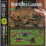 Capsule Q Museum Reptile Lounge Set of All 5 Types