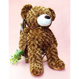 Lark the Little Bear 011-0480 Large Dark Brown