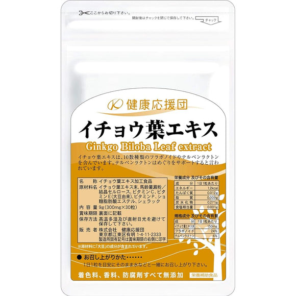 Kenkouendan Supplement Ginkgo Leaf Extract (VC+VE+VP Plus) Approximately 12 months 12 bags 360 tablets