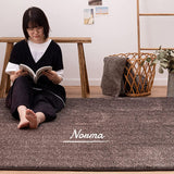 Hagiwara Rug, Gray, Approx. 78.7 x 94.5 inches (200 x 240 cm), Norma, Fluffy, Soft, Warm, Marbled Simple, Plain, Hot Compatible