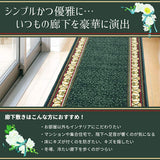 Hagiwara 270022124 Hallway Mat, Iris IN, Beige, Approx. 26.4 x 13.4 inches (67 x 340 cm), Washable