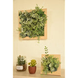 Kishima KH-61036 KH-61036 Purrier for Wallmount, Deodorizing, Wall Green (L)