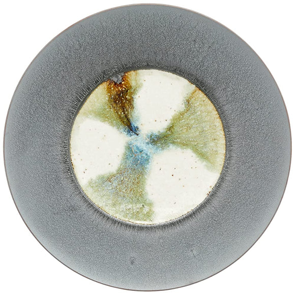 TOKI1919 Bistro Soup Plate, Pasta Plate, Dinner Plate, Diameter Approx. 11.4 x Depth 1.7 inches (29 x 4.3 cm), French Dish, Hotel Restaurant, Specifications, Microwave, Dishwasher Safe, La Tema, Scenery,